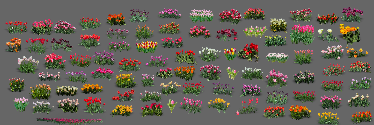 Plant Library Feature Tulips Simplyscapes