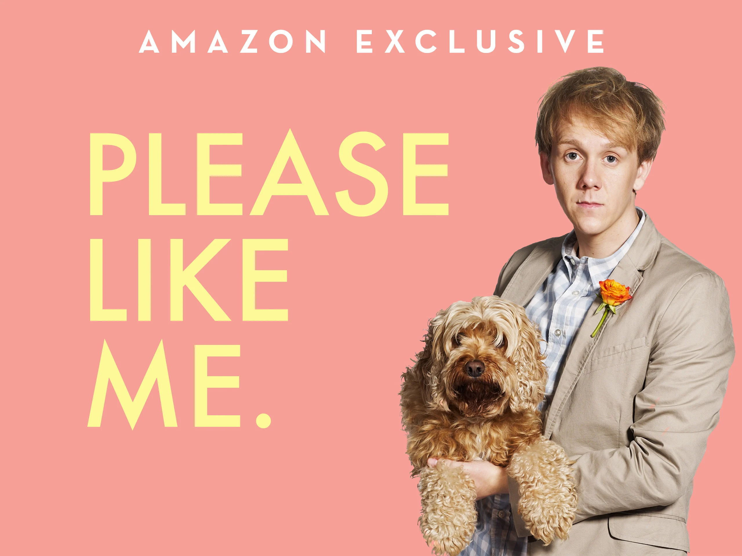 Please Like Me promo image