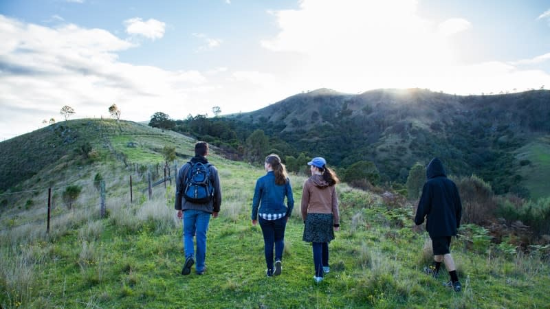 an adult and three children going bushwalking