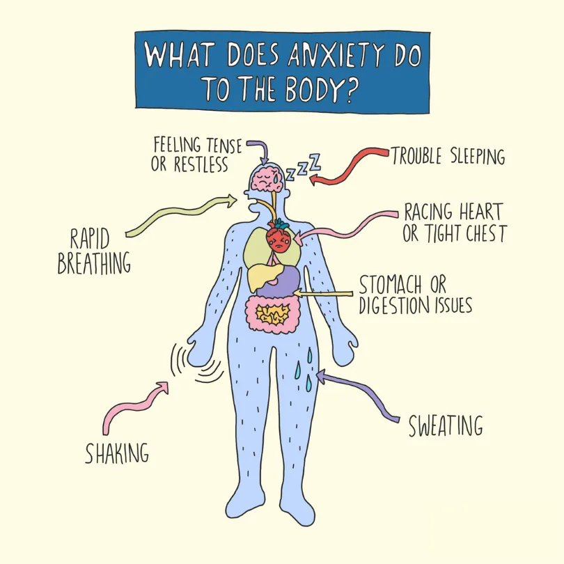 An infographic called what does anxiety do to the body'. A transcript can be downloaded below.