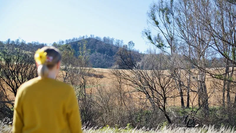 Back of womans head staring into landscape