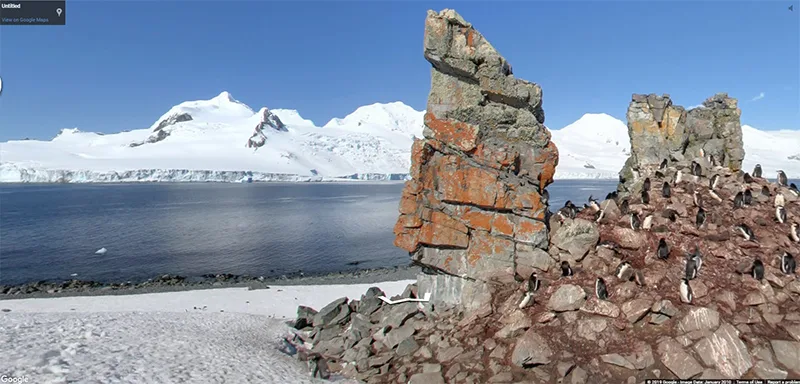 view of snowy landscape with penguins on rocks