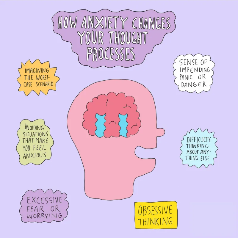 Infographic called 'how anxiety changes your brain'. A transcript can be downloaded below.