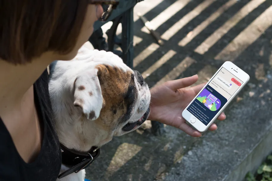 woman holding phone with dog