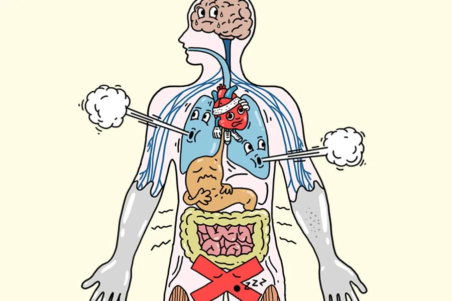 what stress does to the body thumbnail