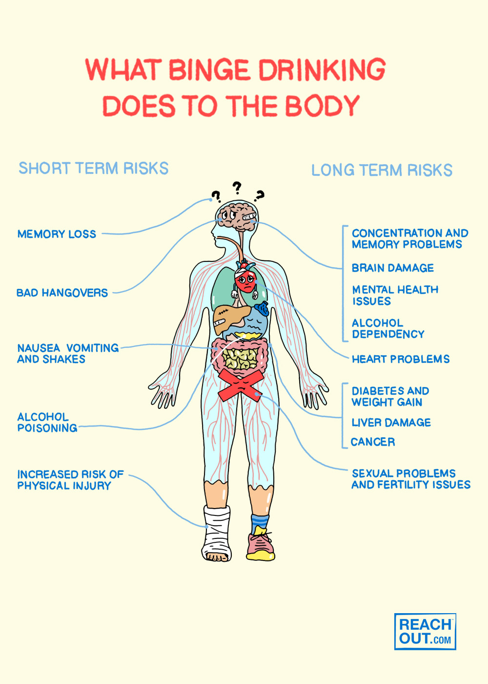 What binge drinking does to the body site