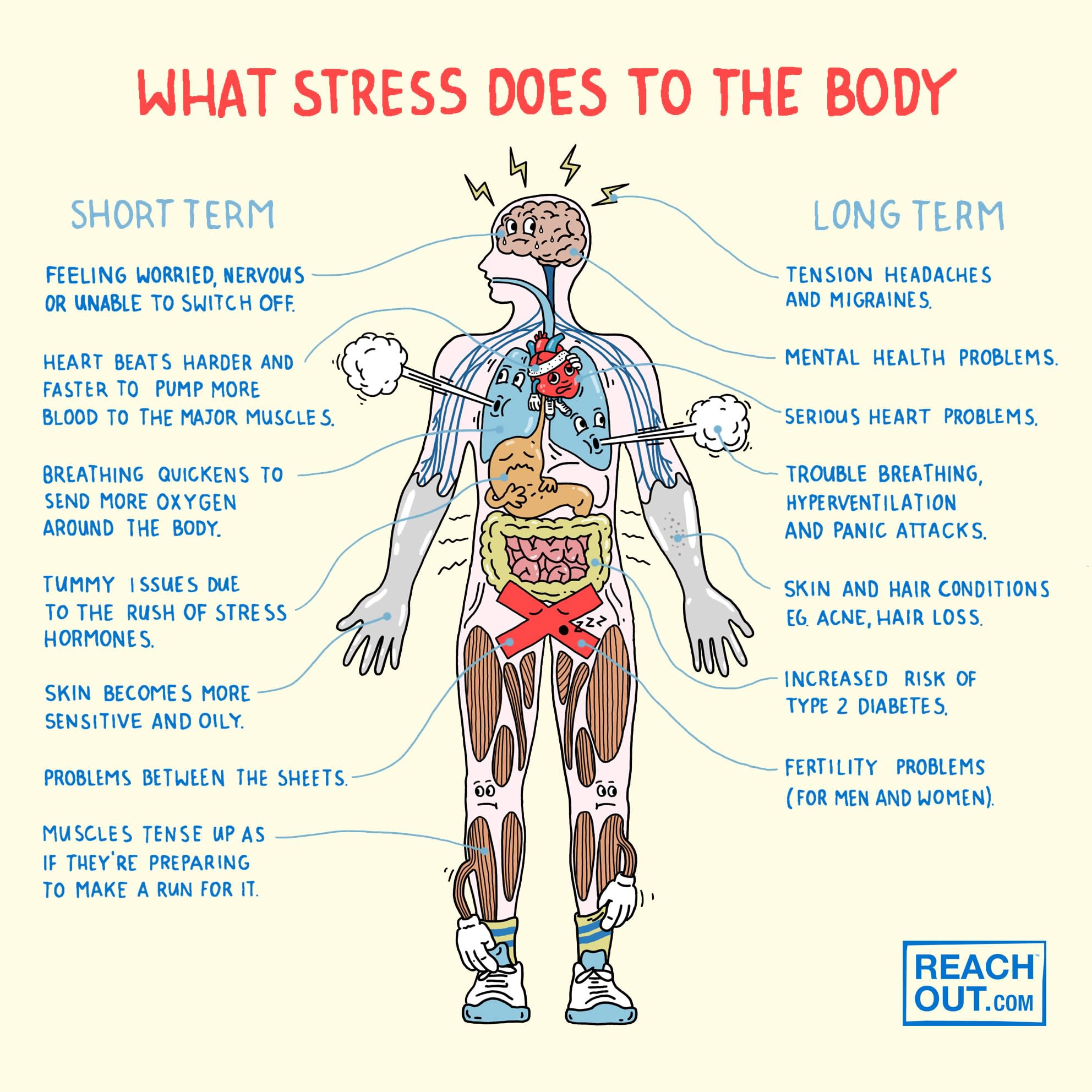 what stress does to the body infographic