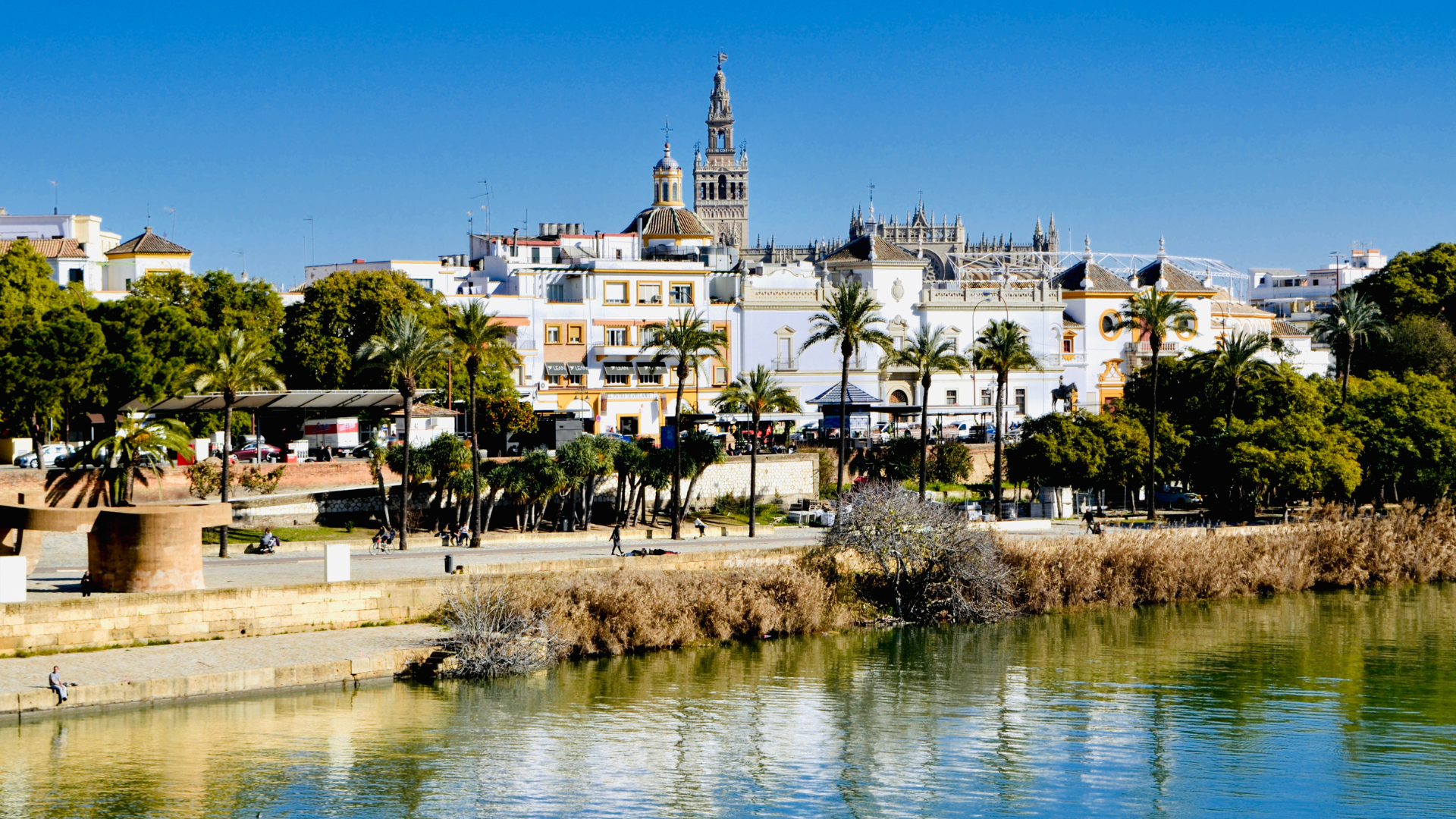 The Best Neighborhoods In Seville To Live In