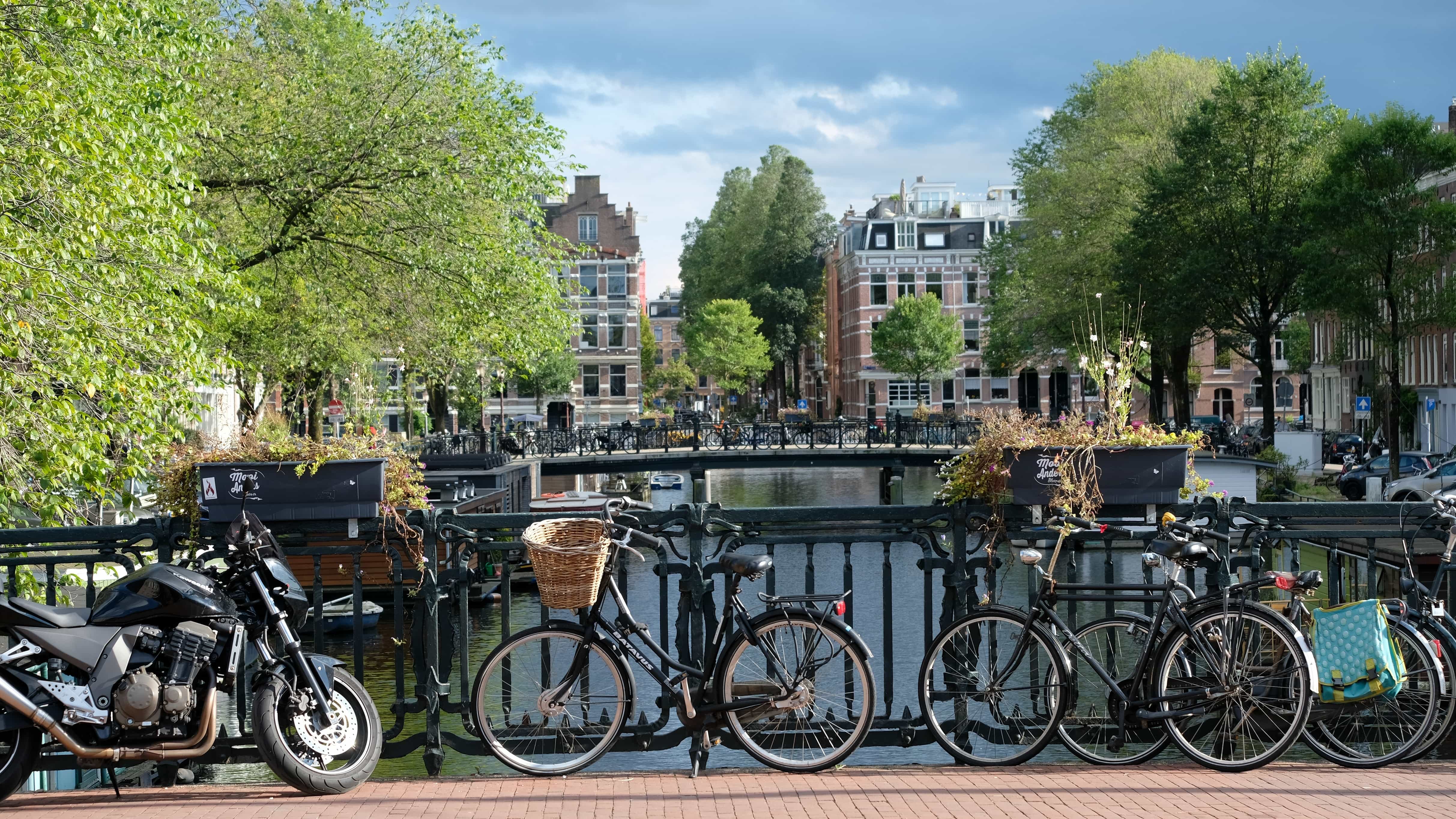 Can you move to the netherlands without a job?