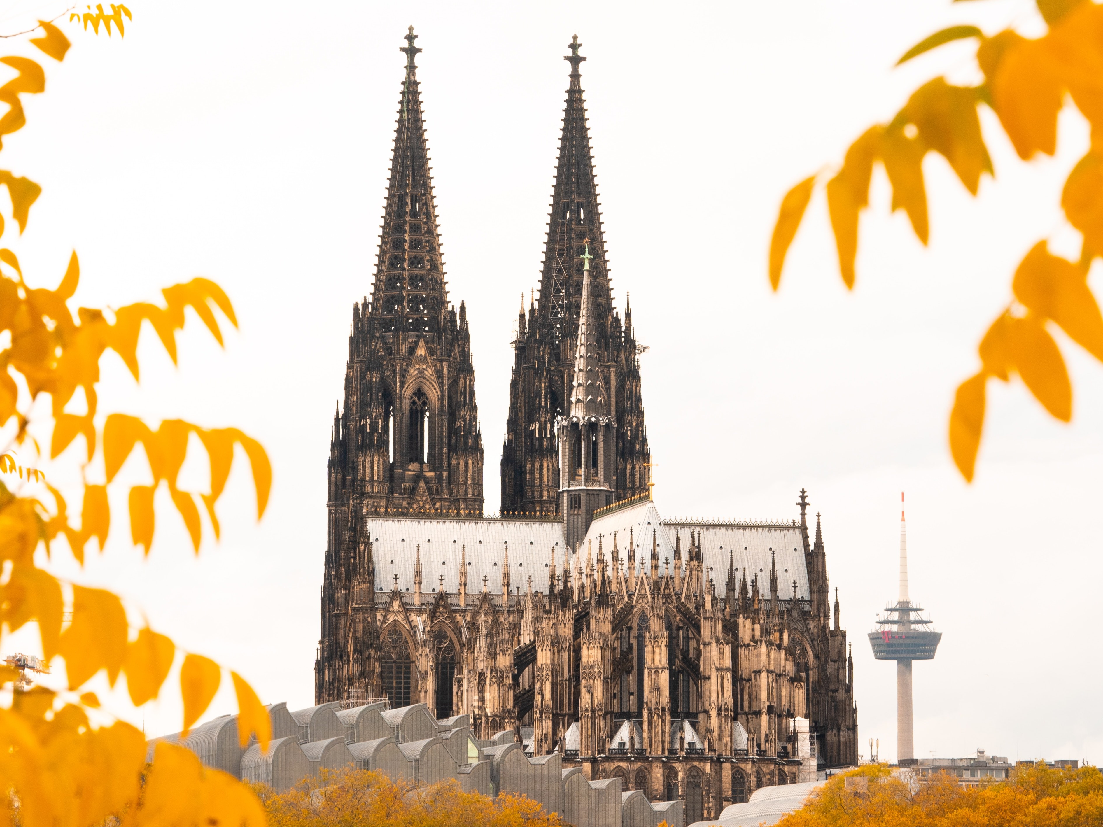Living in Cologne an expat city guide HousingAnywhere