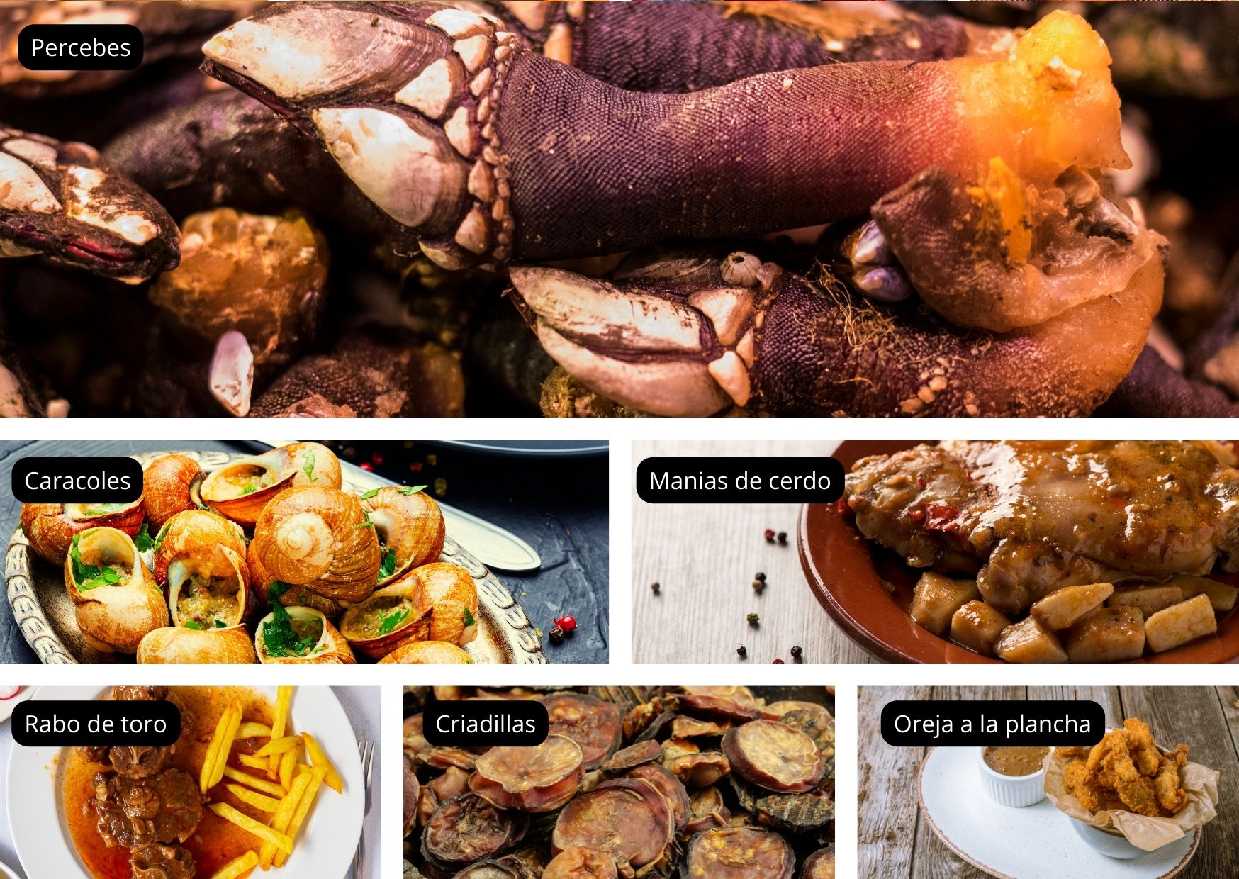 Traditional and unique food in Spain University VIP