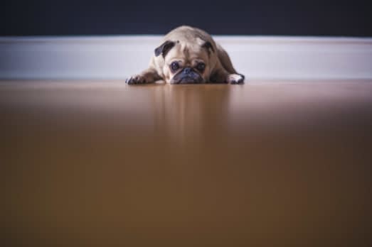 Anxiety On Campus 6 Ways Parents Can >> 6 Ways To Deal With Homesickness When Studying Abroad Anxiety On Campus 6 Ways Parents Can >> 6 Ways To Deal With Homesickness When Studying Abroad