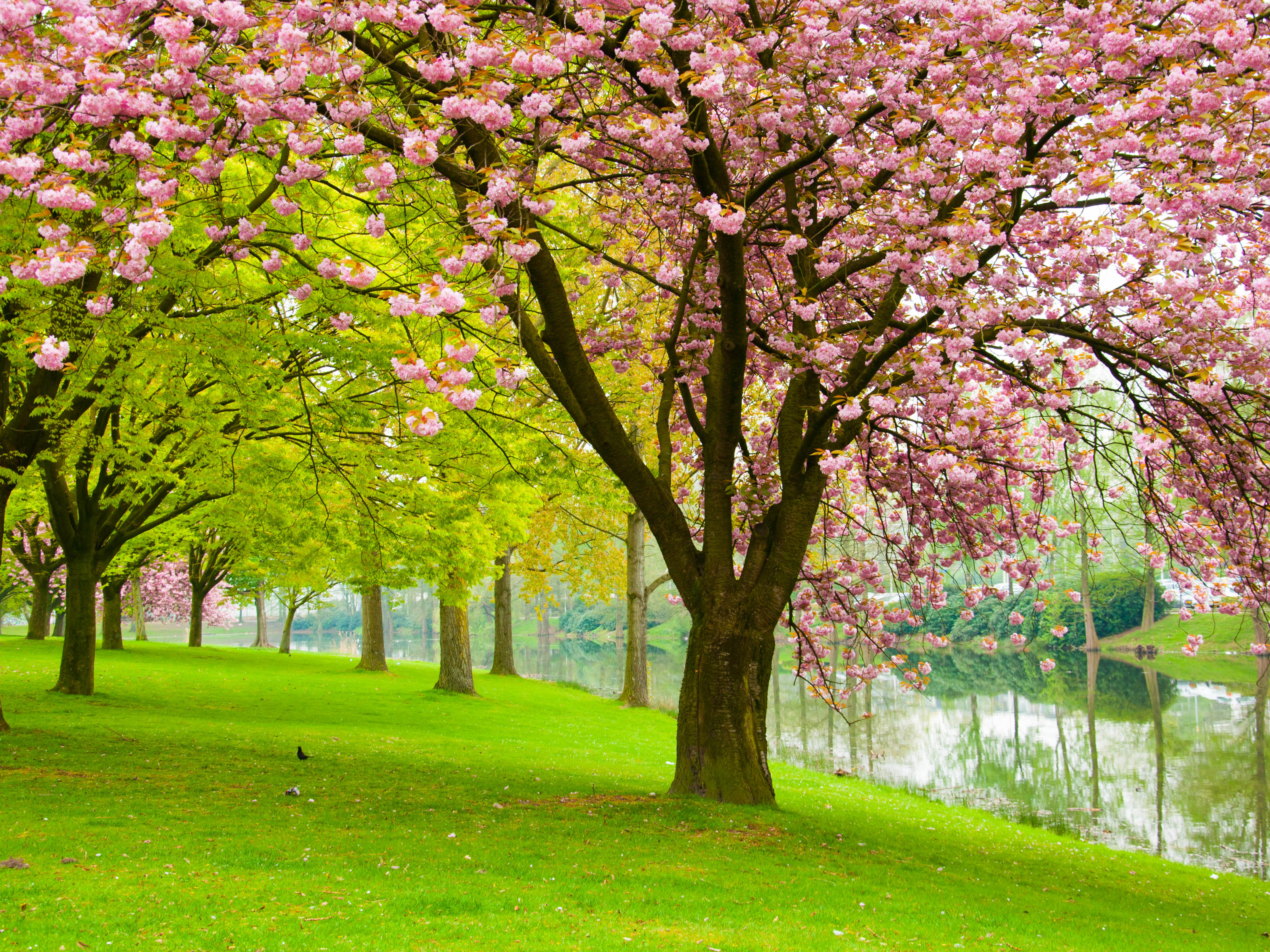 The 6 best neighbourhoods in Tilburg