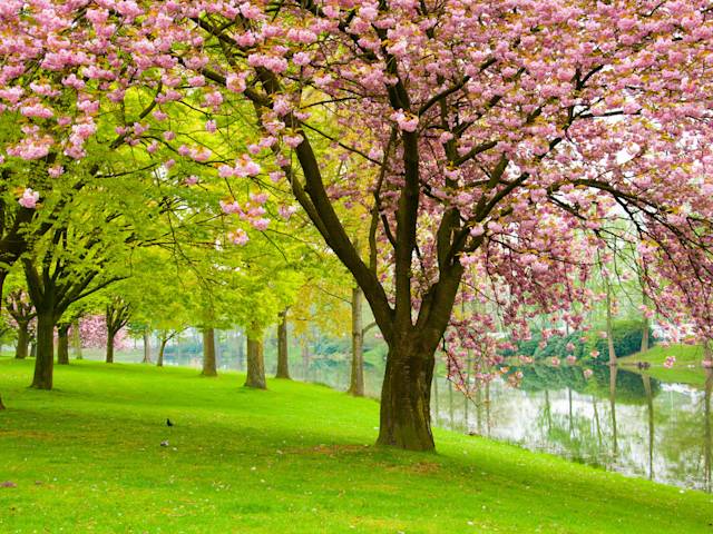 The 6 best neighbourhoods in Tilburg