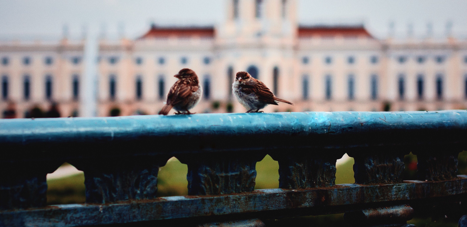 6 reasons why you should live in Germany