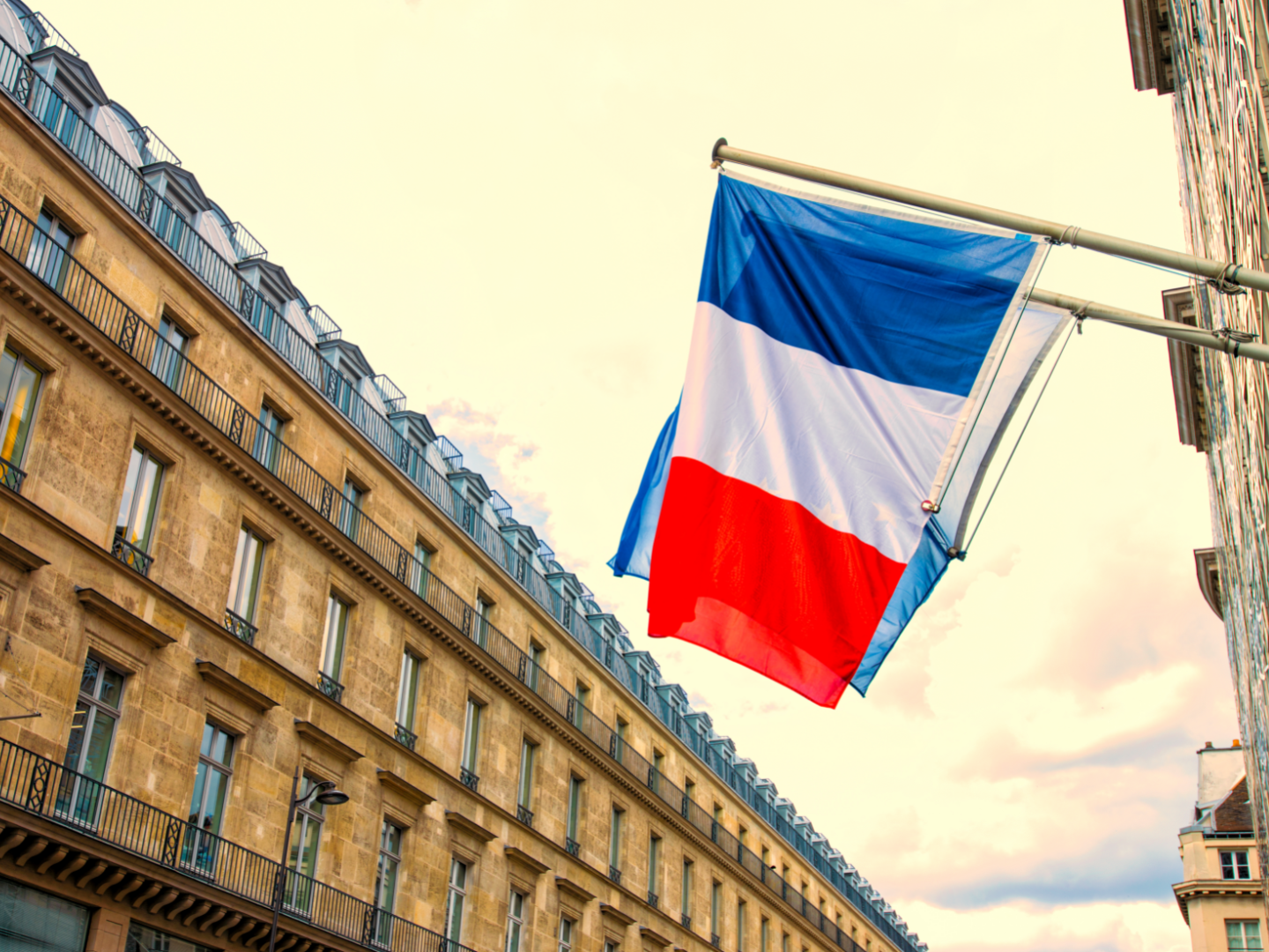 Frankreich Flagge online günstig kaufen - Premium Qualität