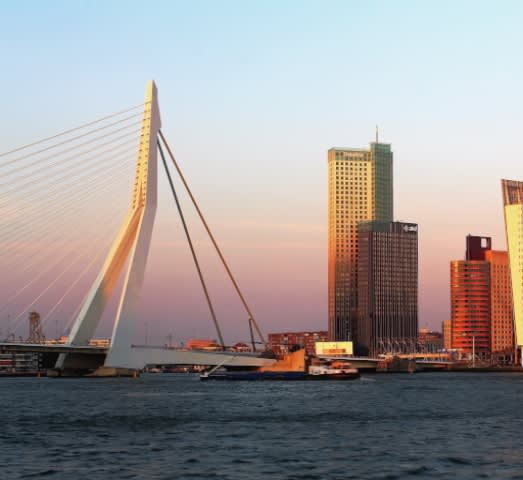 Rotterdam, buildings, bridge.