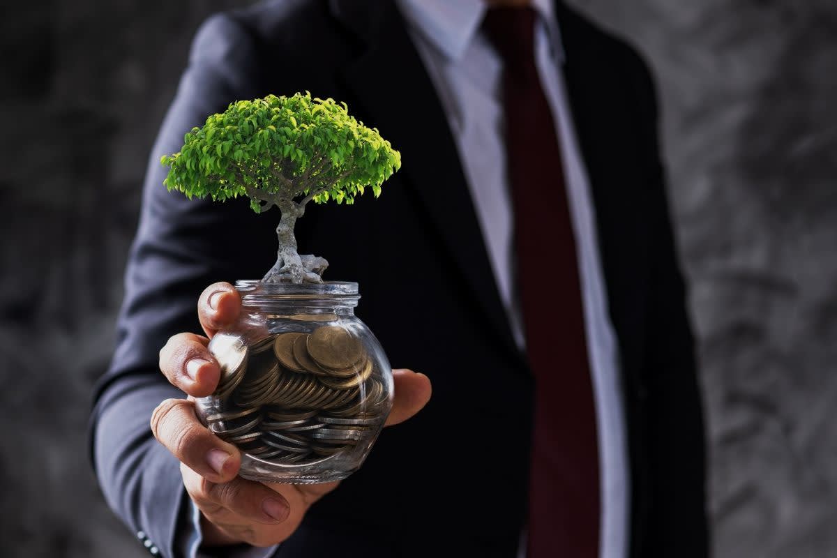 businessman holding a small tree with coins underneath its roots