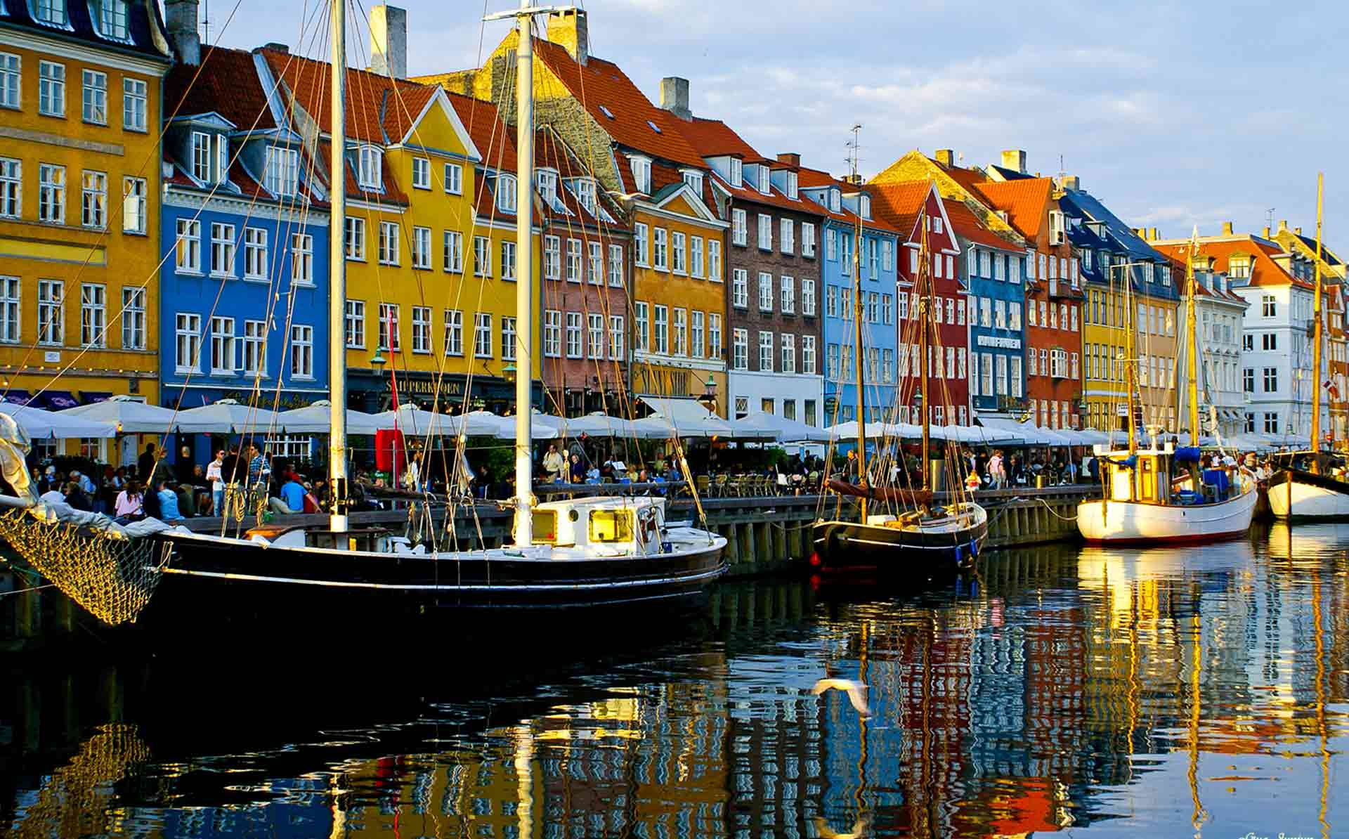 technical-university-of-denmark