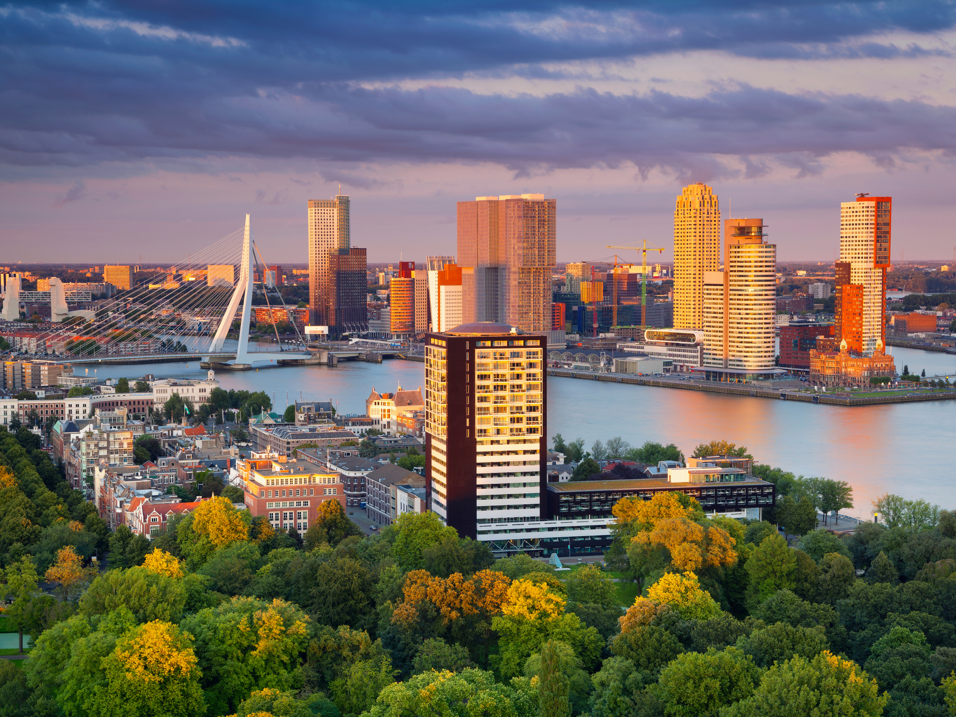 The ultimate guide to the top 10 Rotterdam neighbourhoods
