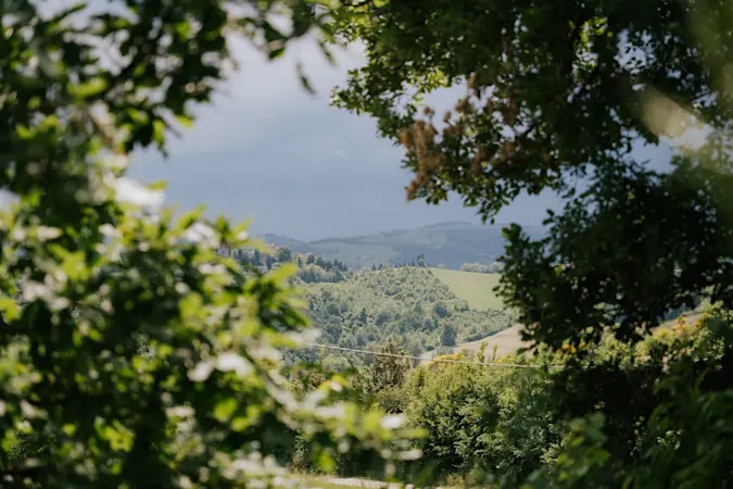 Views of Tuscany.
