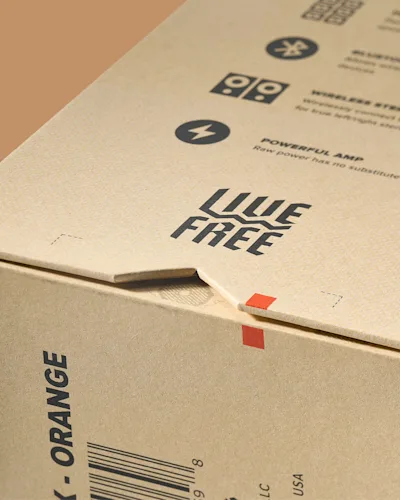 Turtlebox/AE Turtlebox 05