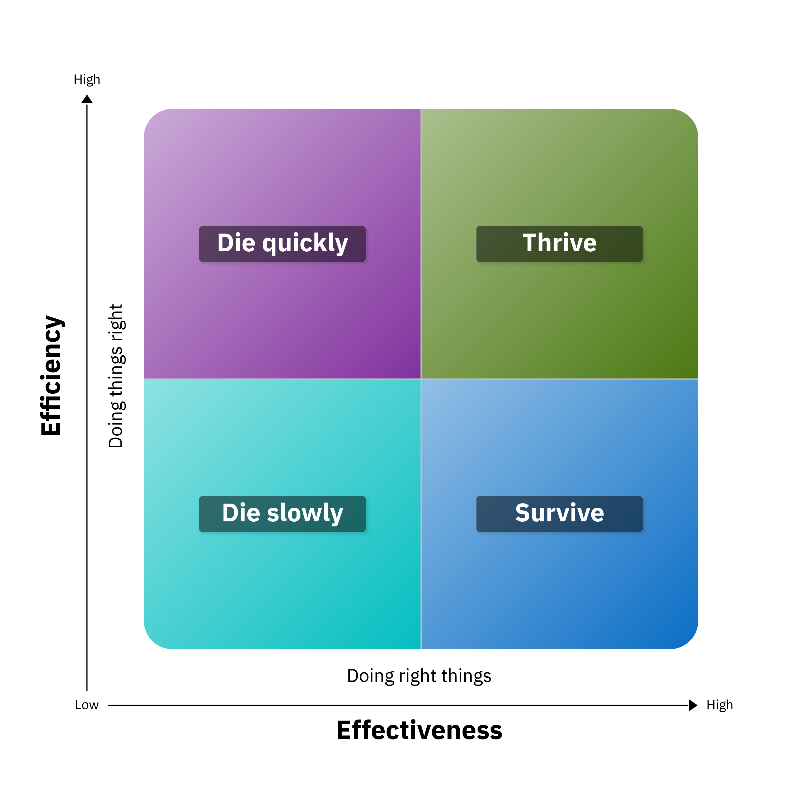 Efficiency/Effectiveness matrix 