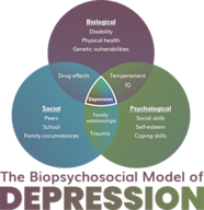 The Three Major Factors That Lead To Depression SHAPE