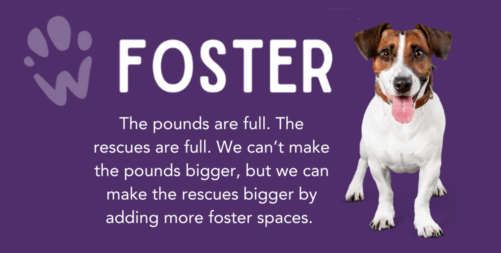 Foster