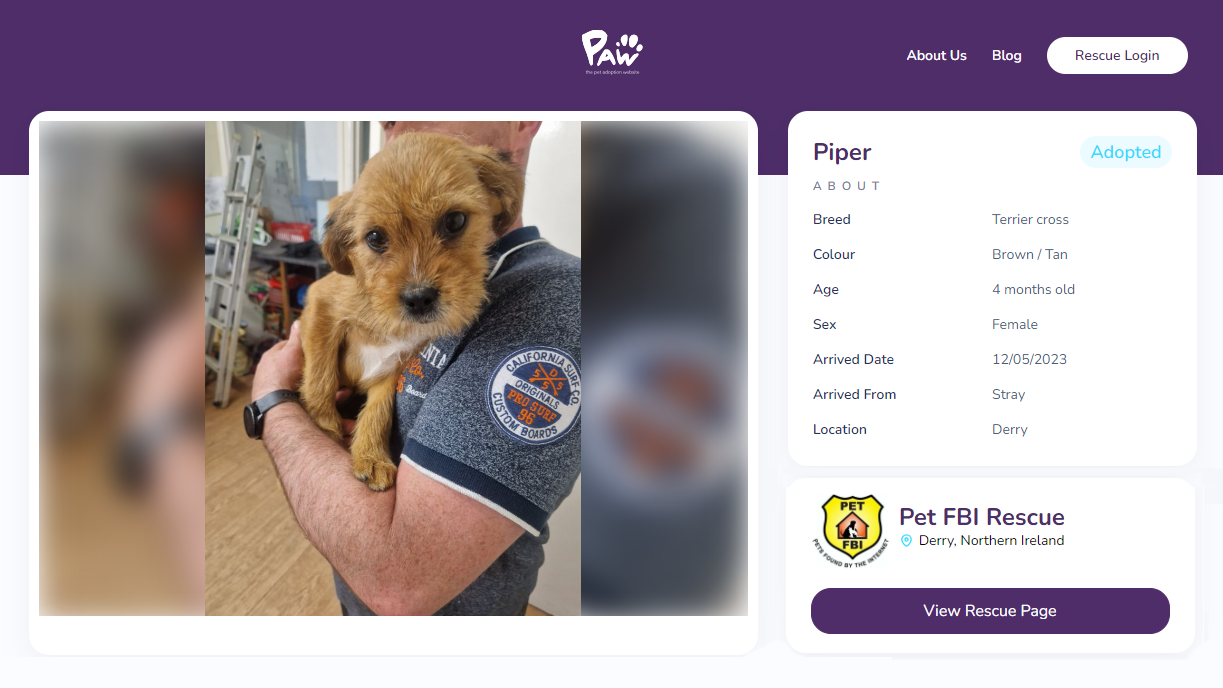 PIper's Pet Adoption Website Profile