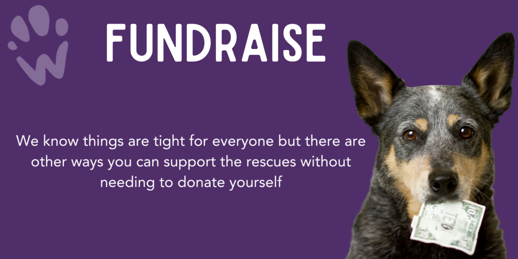 Fundraise