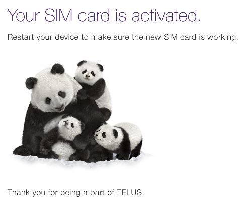 Your SIM card is activated 