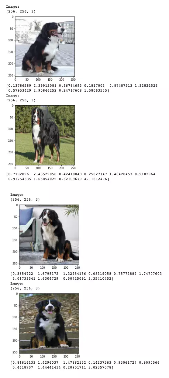 Showcasing four image of dogs and their embeddings from the Deep Lake dataset