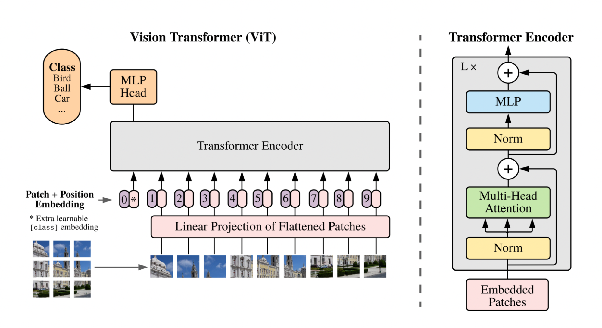 An Image Is Worth 16x16 Words: Transformers For Image Recognition At Scale example
