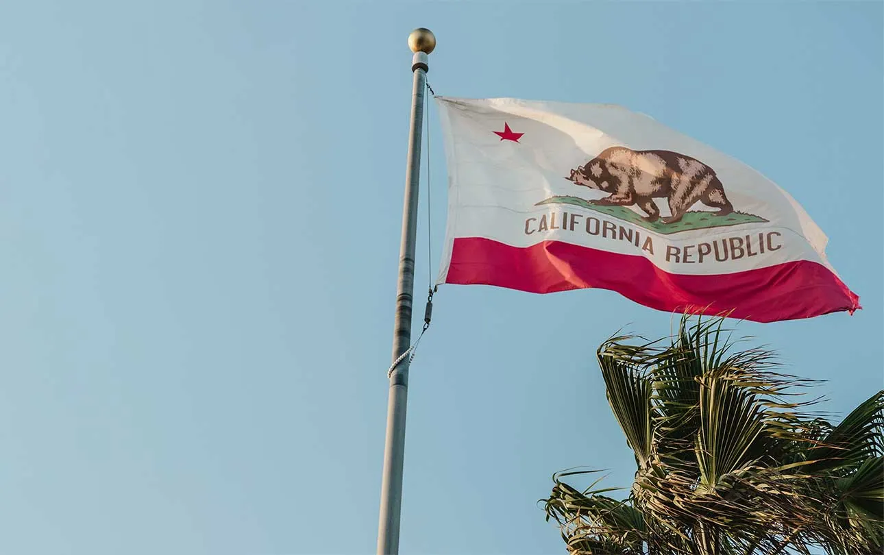The California flag on a flag pole in front of a palm tree and a cloudless blue sky.