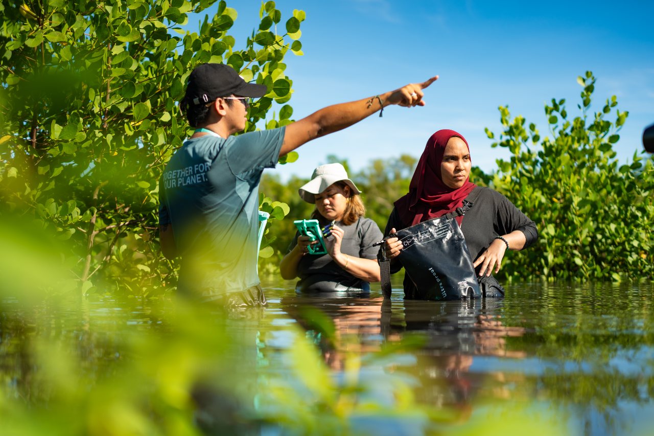 GainForest Turns ETH Yield into Biodiversity Conservation