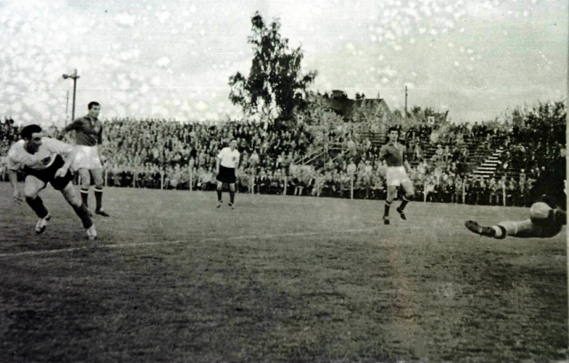 Image: World Cup 1958