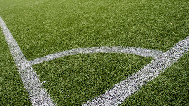 Image: Watt gives expert view on pitch debate [Migrated]