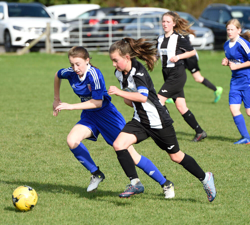 Image: CLUB STORY: JEANFIELD SWIFTS