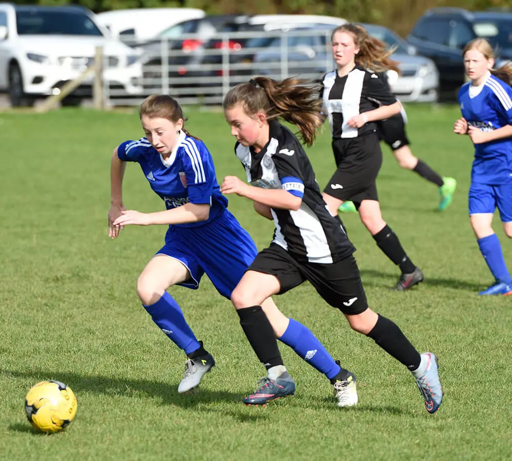 Image: CLUB STORY: JEANFIELD SWIFTS