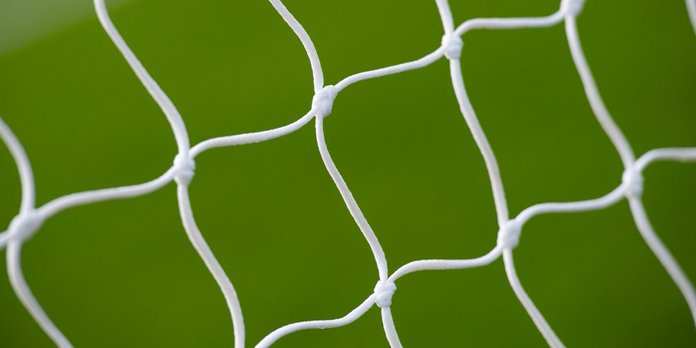 Image: A Scottish FA statement [Migrated]