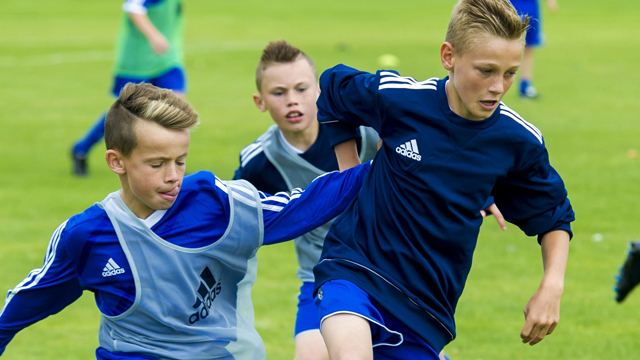 Image: Search for new Performance Director gets under way [Migrated]