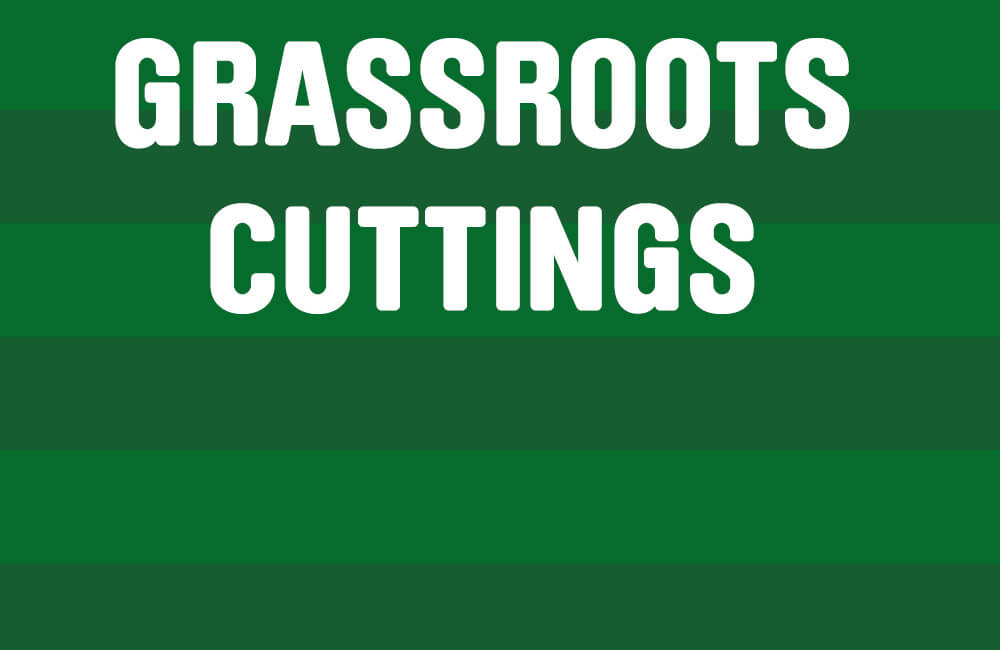 Image: Grassroots Cuttings – June 2018 [Migrated]