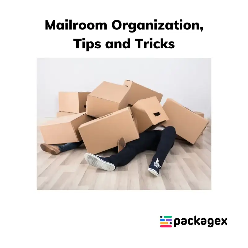 Mailroom-organization-PackageX-blog-post.webp