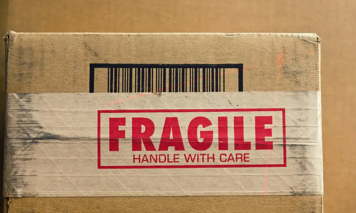 Fragile.webp