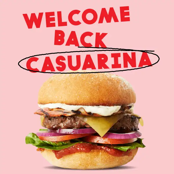 Welcome back Casuarina