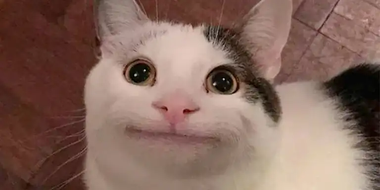 2:1 image of Danny