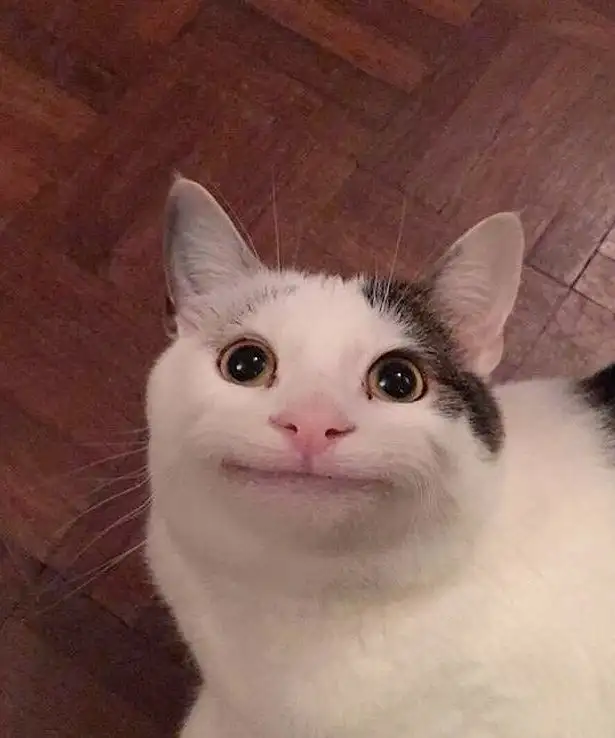 5:6 image of Danny