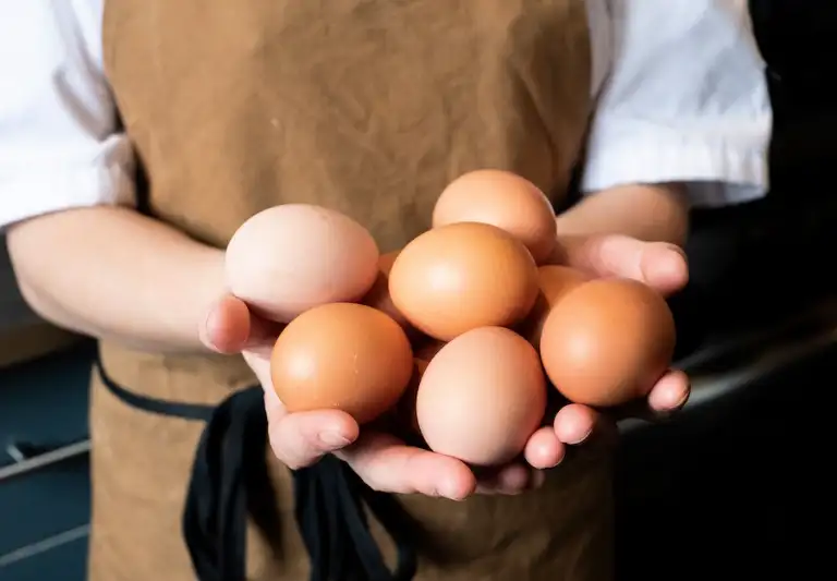 Free-range eggs
