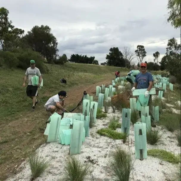 Friends of Skeleton Creek planting and weed picking.